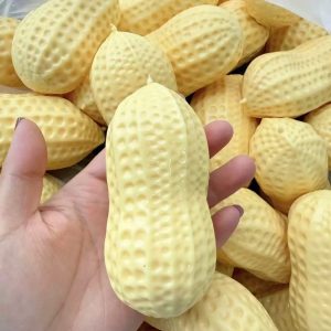 Crunchy sound peanut handmade anti-stress squishy toy