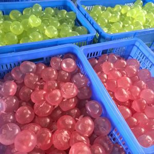 apple squishy sugar texture slow rising 12 pieces 2 colors mix no box