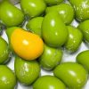 Crunchy sound color-changing mango handmade anti-stress squishy toy