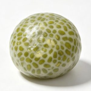 Handmade slushy green beans no rebound anti-stress squishy toy SHIP OUT IN 72 HOURS